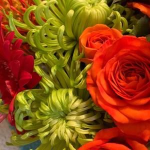 Meet your Posher, Gay